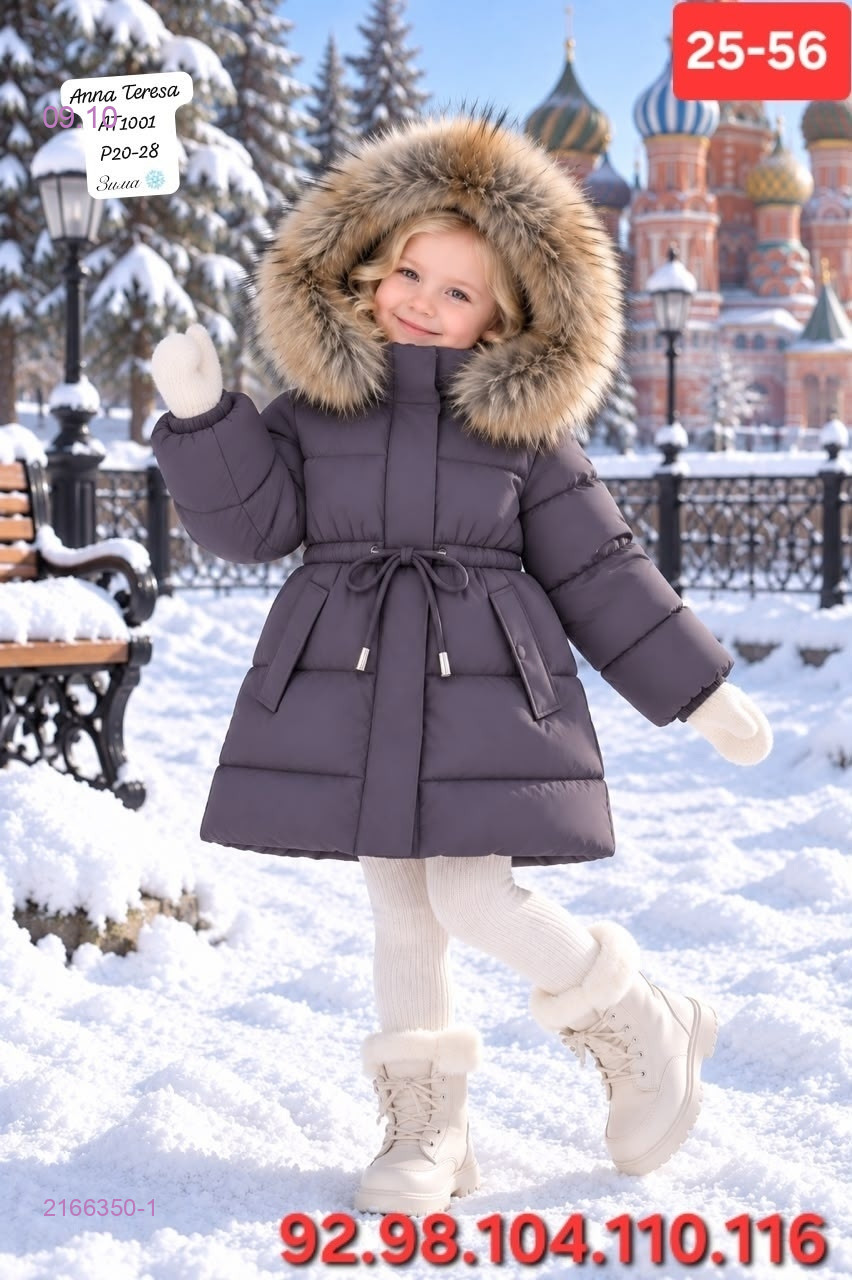 баклажан