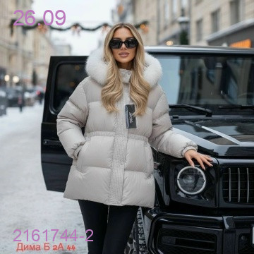 Цвет 2