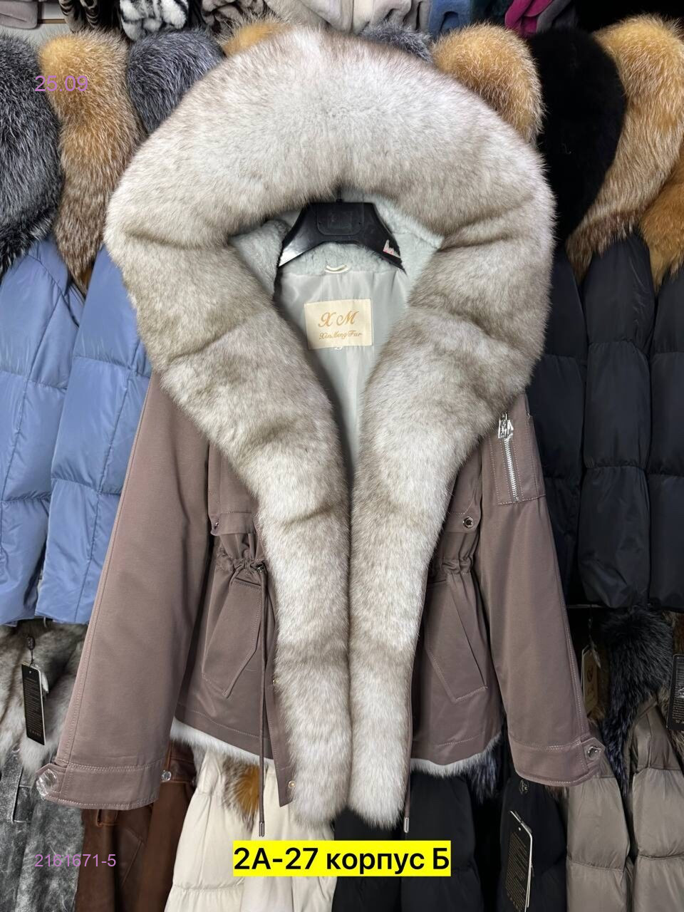 Цвет 5